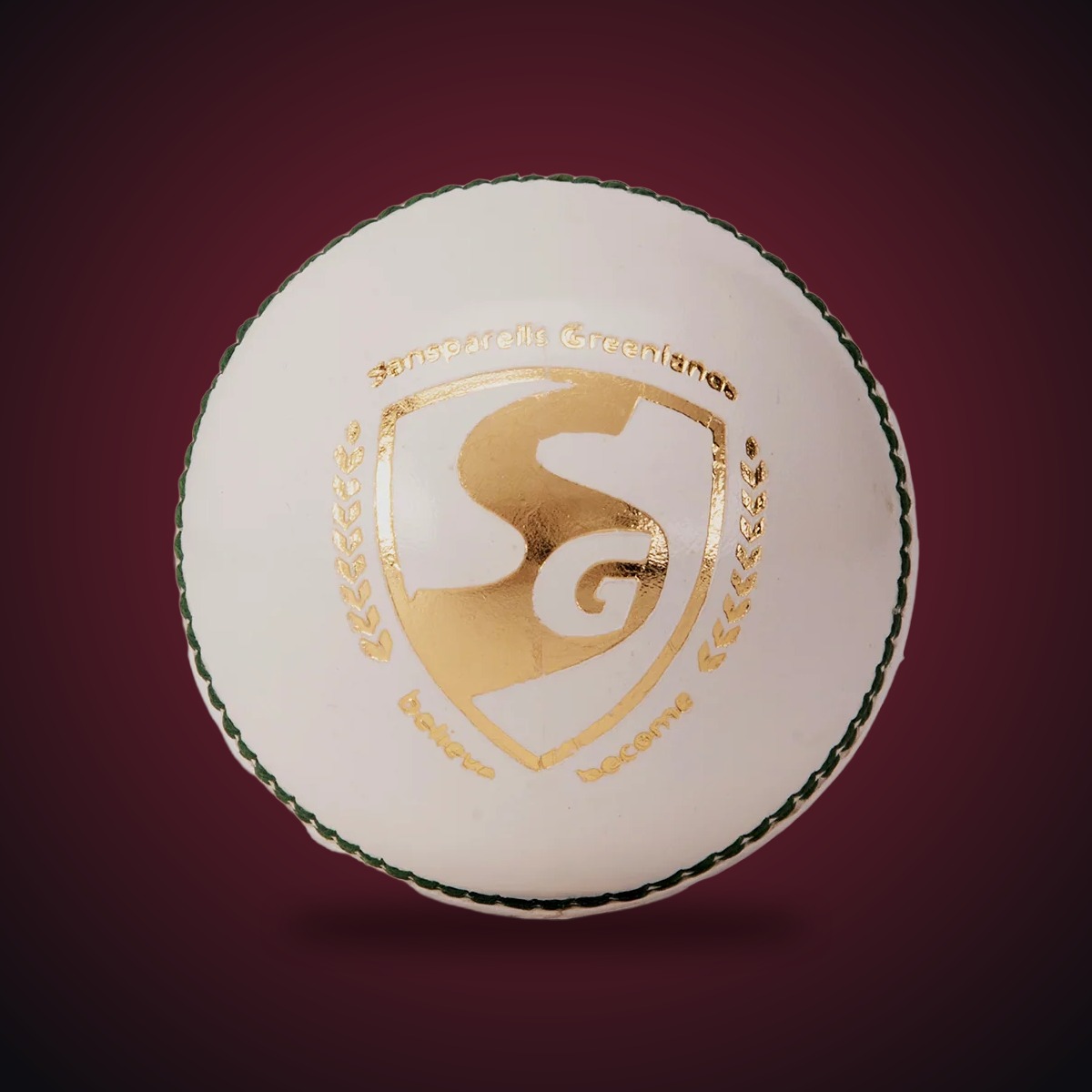 SG Test Cricket Ball